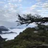 Avatar 2