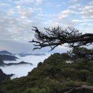 ly6628 上海和平飯店優惠