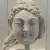大松树叶子