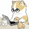 user-icon