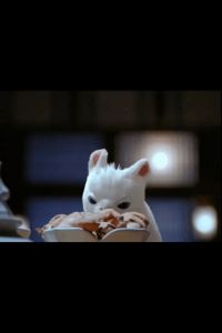 Yuzhouwudishandianchaoren 阿爾塔維斯塔套房酒店優惠