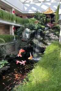 訪客用戶 新加坡諾怡飯店優惠