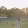 Avatar 2