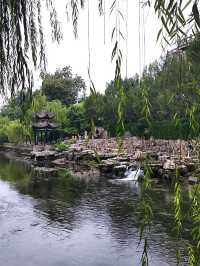 如梦令鸥鹭