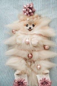 🇨🇳you🌺you🇹🇭 馬德里機場T1 T2 T3客運大樓B&B酒店優惠