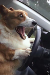 gneza 大理古城·既下山SUNYATA酒店優惠