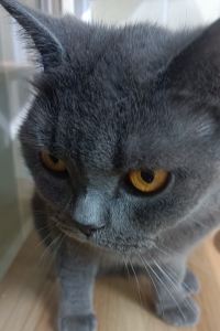 GTRchezhu 深圳光明新城亞朵飯店優惠