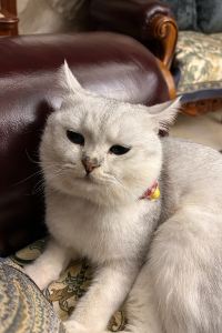 Yves Chang 熱海の隠れ里 クーポン