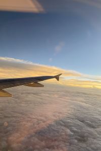 Yangzi 麗呈東谷飯店（成都天府廣場店）優惠