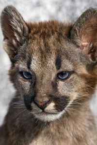 Maixiangshasha 베스트 웨스턴 제주 호텔 쿠폰