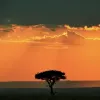 Avatar 1