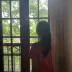 树懒的旅途
