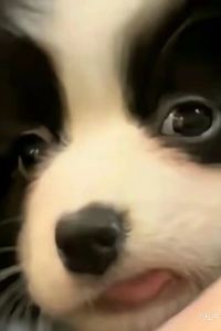 M229160**** 深圳艾尚飯店優惠