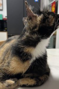 E0474**** 漳州賓館優惠