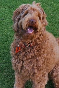 Yiqiehaoshangliang 浙江西湖山莊優惠