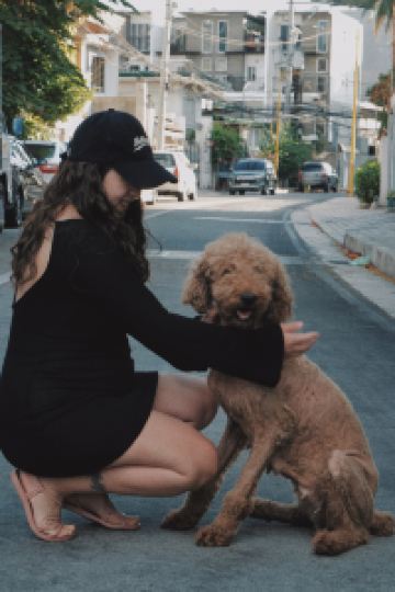 Maili Nazuna 京都 御所 クーポン