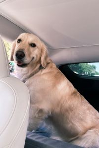 Janice0416 伊斯坦堡萬達文華飯店優惠