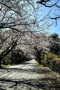 helena～～h 伊豆高原 城ケ崎温泉 花吹雪 クーポン