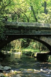 2887. パーク ハイアット 京都 クーポン