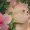 Avatar 1