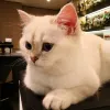 Avatar 2