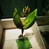 Avatar 1
