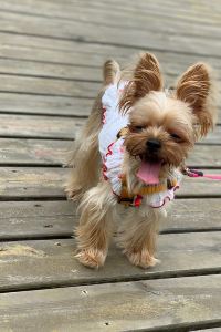 DongdoufuC 南京華泰萬麗酒店優惠