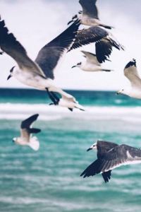 Alice 大阪本町萊夫瑪克思飯店優惠