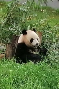 Azhe_ 蘭州愛佶舍青年旅社優惠