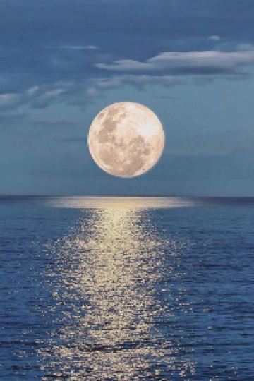 M227635**** 金乃竹 塔ノ澤 - 大人限定 クーポン