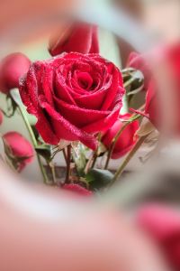 @xgg 漢庭酒店（珠海情侶中路店）優惠