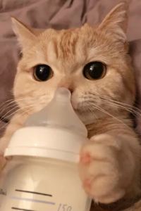 Bingbinglianghuo 億鉑飯店（珠海拱北口岸富華里店）優惠