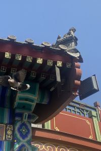 Zhihuishuzzz 江山勝景民宿酒店（樂山大佛店）優惠