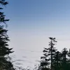 Avatar 2