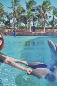 Iris à Paris ART青森酒店優惠