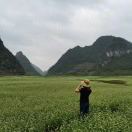 sa**** 蒙特朗布朗度假勝地希爾頓欣庭套房酒店優惠