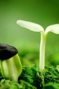 Hutongerdaye 廣州中心皇冠假日酒店優惠