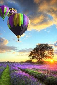 205850**** 華泰賓館（廣州區莊地鐵站店）優惠