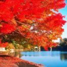 Hugo Wendy 恩平逸豪飯店優惠