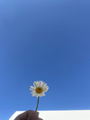 https://ak-d.tripcdn.com/images/0Z86b2224uead9vpc2E73.jpg