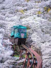 小优优爱旅行