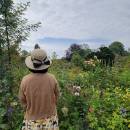 Xunzhaoxiaoshideluhuadang