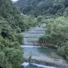Avatar 3