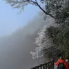 Avatar 2