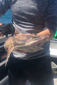 Waikinlo 巴斯修道院臻品之選酒店優惠