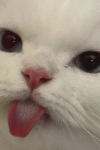 M331099**** 貴陽宜佳華酒店（花果園店）優惠