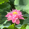 https://ak-d.tripcdn.com/images/0Z86f12000l95j8c32D91.jpg