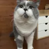 Avatar 2