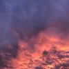 Avatar 2