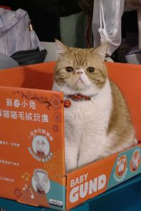 queenalv 全季酒店（廣州市二宮地鐵站店）優惠